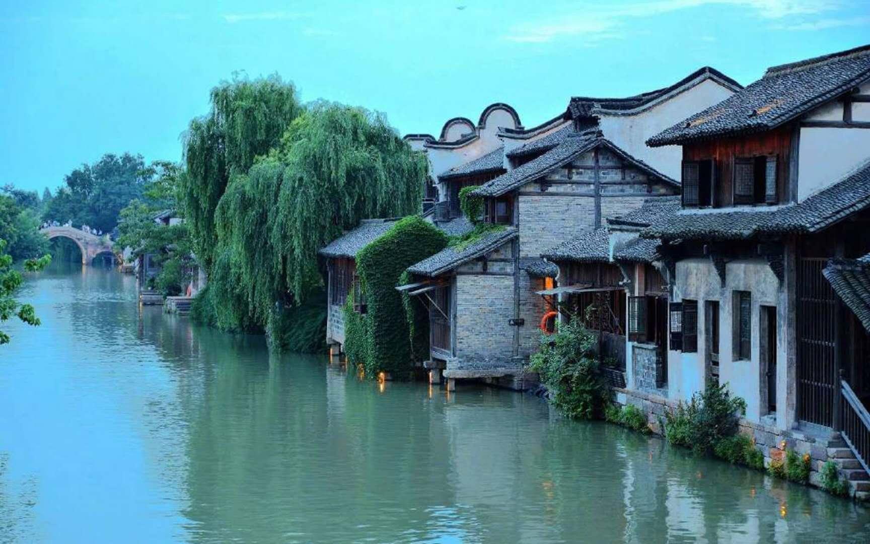 漂亮鹦鹉救援